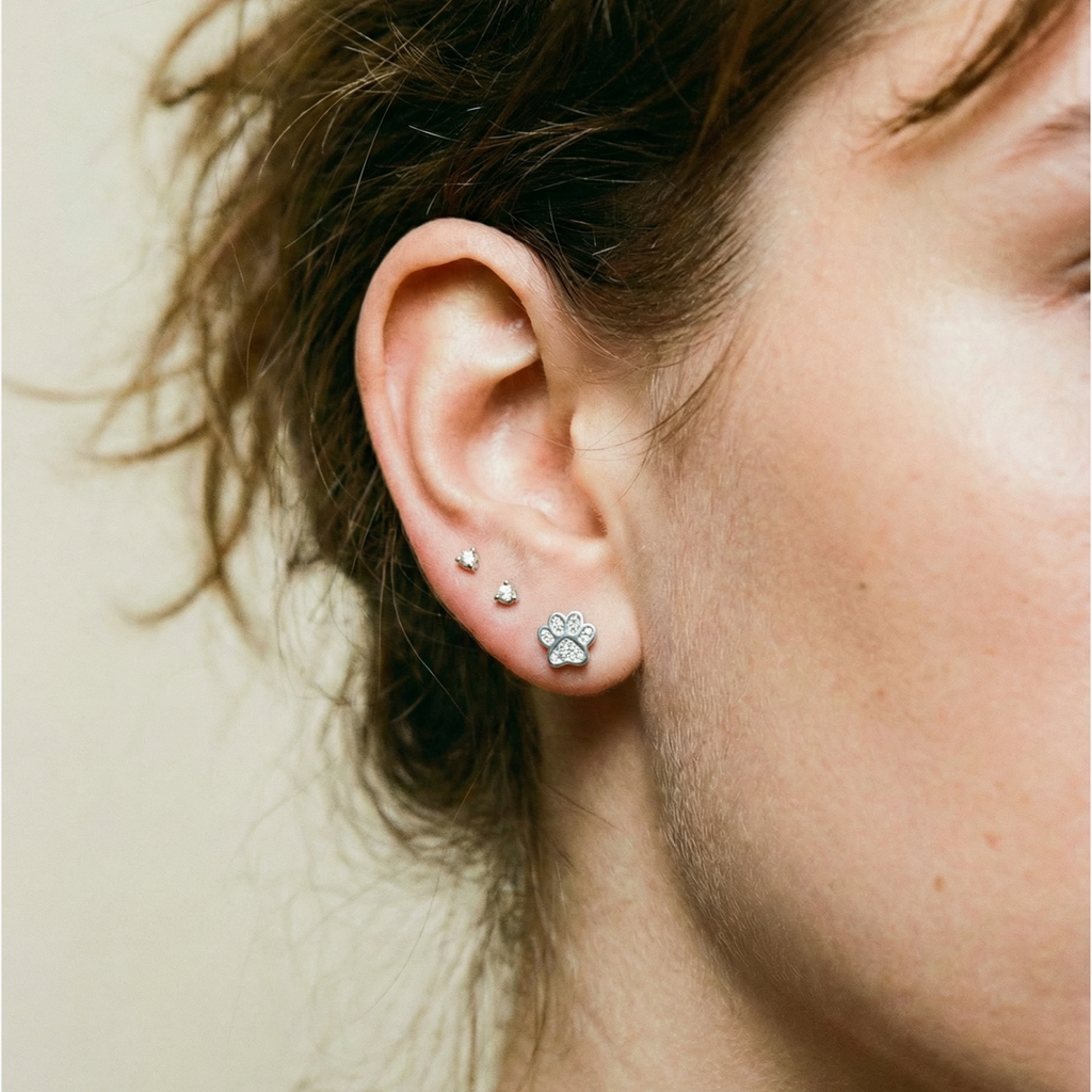 Pawie Ball Back Earrings